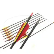 12x 31"CARBON ARROWS FEATHER COMPOUND RECURVE BOW HUNTING TARGET SPINE 500