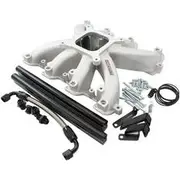 Aeroflow GM LS Carby Intake Manifold Cathedral Port EFI LS1 LS2 Natural Aeroflow - AF6050-5000