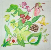 10 x 10 HandPainted Needlepoint 18 Canvas Forest Flowers S Roberts AM1005 #1