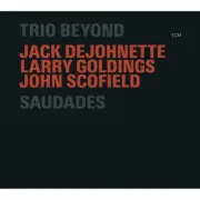 Jack Dejohnette / Larry Goldings / John Scofield : Trio Beyond Saudades Double