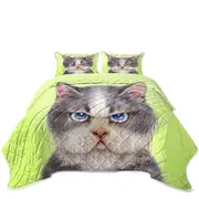 Cats Cute Drawings the Angry Grey Kitten Coverlet