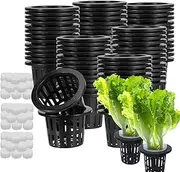 Hydroponics Net Pots, Hydroponic Cultivation Pot With Sponge, Set Of 50 Hydroponic Cultivation Pot Set, Sturdy Construction, Versatile Use, 23.5x3.5cm, For Indoor Gardening