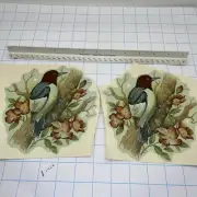 Vintage Water Slide Decals Birds