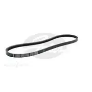 Gates Green Stripe Truck and Bus Series V-Belt - TR30652
