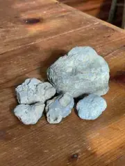 Natural Fossil Stones for Tank Decorating- Neat Gray Mixed Sea Coral Sedimentary