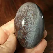 Agate Palm Stone 170110 Stone of Protection and Strength Metaphysical