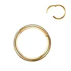 1PC Hinged Segment Nose Hoop Rings Women Surgical Steel Nose Rings Septum Clicke