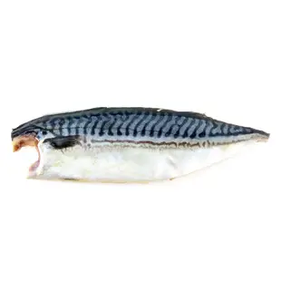 信揚-薄鹽挪威鯖魚片-鯖小(110~140g/片)-1D1B【魚大俠】FH153