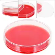 10 Pcs Agar Medium Lab Equipment Science Experiment Plates
