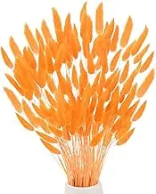 uxcell 180-Pack Bunny Tails Grass 17 Inch Fluffy Rabbit Tail Grass Dried Flowers Branches Vase Filler Dried Grass Decor for Home/Wedding/Vase/Office/Party [Orange]