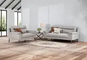 CASPIAN Leather Sofa Pair