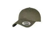 Flexfit Unisex Adult EcoWash Dad Cap (Olive Night) (One Size)
