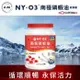 【NY-O3】南極磷蝦油軟膠囊(30顆/瓶)