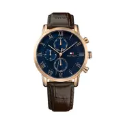 Tommy Hilfiger Men's Watch Model 1791399