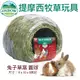 美國OXBOW 兔子草窩 圓球 提摩西牧草玩具 提摩西草 磨牙 鼠窩 兔窩 小動物草窩『WANG』
