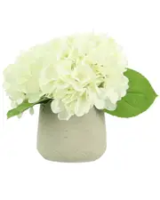 Creative Displays Grass Bush in A Silver Pot
