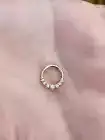 Graduation Hinged Nose Ring Septum Clicker Rook Tragus Natural Diamonds 14k Gold