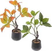 Gresorth 2 Pack Artificial Bonsai Plants with Decorative Pebbles Fake Realistic Greenery Potted Decor for Indoor Spaces Office Displays Garden Landscapes - 13.9 Inch