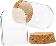 Ciieeo 2Sets Immortal Flower Covers Preserved Glass Display Dome with Cork Stopper for Table Decoration for Valentine Day Special Occasions
