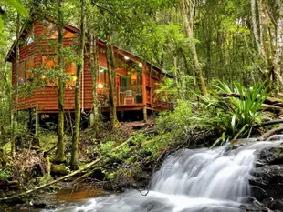 熱帶雨林酒店