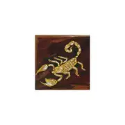 Matte Paper Poster, wall art, gold, scorpion, scorpio, zodiac, oil painting