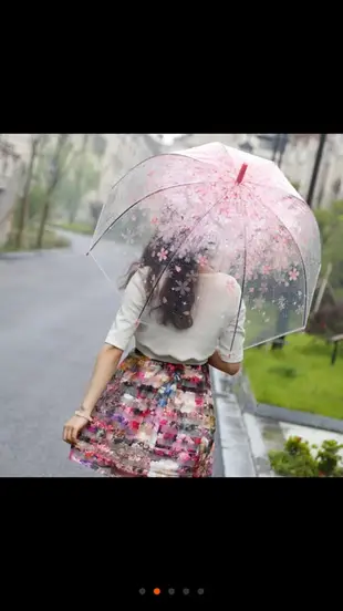 日本櫻花透明兒童雨傘/4色