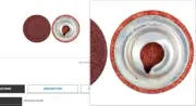 60% Off 132 Ea Norton ARX19 3/4" P36 Grit Ty II TSM QC Cloth Disc 99602