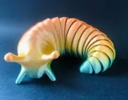 Fidget Slug UK TikTok Craze | Articulating Slug | Fidget Toy | Articulate Slug
