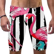 [FNETJXF] Jammers for Men, Men's Swim Briefs, Flamingo Tropical Leaves