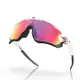 【Oakley】JAWBREAKER(公路專用 運動太陽眼鏡OO9290-0531)