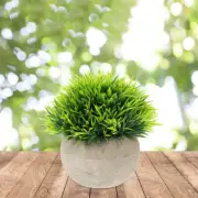 3pcs Desktop Ornament Faux Plant Pots Artificial Succulent Plants