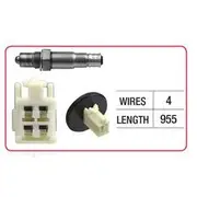 RAE Oxygen Sensor - OX758
