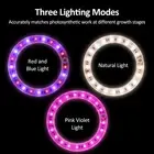 LED Grow Lights Full Spectrum Plant Lamp With 20 LEDs 8H/12H/16H Timer TDW