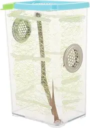 Vaguelly 1 Set Box Stick Insect Breeding Box Reptile Tank Stick Insect Starter Kit Jumping Spider Enclosure Kit Jumping Spider Enclosure Accessories Plastic Transparent