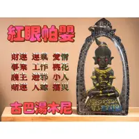 在飛比找蝦皮購物優惠-古巴湯木尼 2558  紅眼帕嬰  帕陰 帕嬰 帕陰 拍嬰 