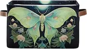 Green Butterfly Flower Closet Organizer, Collapsible Rectangle Cloth Storage Bins Organizing, Set of 2