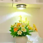 Home Reading Light Small Night Lamp Hand-Pressing Light Touch Lamp Bedside Lamp