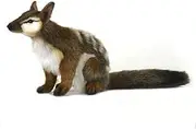 [HANSA] Numbat Plush Toy, 30 cm Lenght, Multicolour