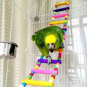 Bird Parrot Toys Ladders Swing Chewing Toys Hanging Pet Bird Cage Accessories Ha
