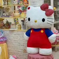 在飛比找蝦皮購物優惠-可愛Hello Kitty毛絨玩偶 凱蒂貓抱枕 KT貓布娃娃