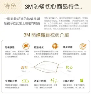 【低價王】3M Filtrete 健康防蹣枕心 支撐型 加厚版 3M 防蹣枕心 3M枕頭 3M健康枕頭【買兩組免運】