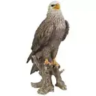 Northcote Pottery Bald Eagle Resin Statue Garden Ornament Outdoor Decor 68cm