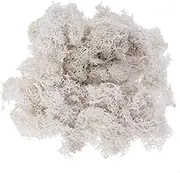 STOBOK Rtificial Bunch Preserved Moss 50g DIY Decorations for Wedding Party Home Garden