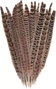 10 Pcs Long Pheasant Tail Feathers Natural Pheasant Feathers Floral Arrangement