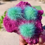 242G Indian dandelion zeolite Quartz Crystal Cluster Mineral Specimen