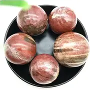 ST 1PC Natural Petrified Wood Silicified Crystal Sphere Ball Energy Healing Decoration Natural Stones and Minerals TL203 (Size : 46-48mm)