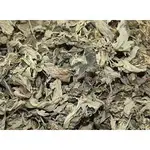 【168ALL】 600G【嚴選】艾葉 / 艾草(小片) ARTEMISIA ARGYI