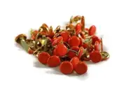 Orange Large Round Brads - 50pc Scrapbooking