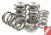 GSC P-D Fits Subaru FA20 WRX/BRZ/FRS Dual Cylindrical Valve Spring Kit