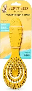 Burt’s Bees for Pets Detangling Pin Brush for Puppies and Small Dogs | Handle Made from 100% Ocean Bound Recycled Plastic | Dog Brush Removes Tangles and Loosens Light Matting